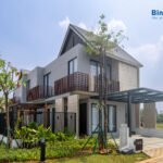 BOTANICA ARALIA BINTARO