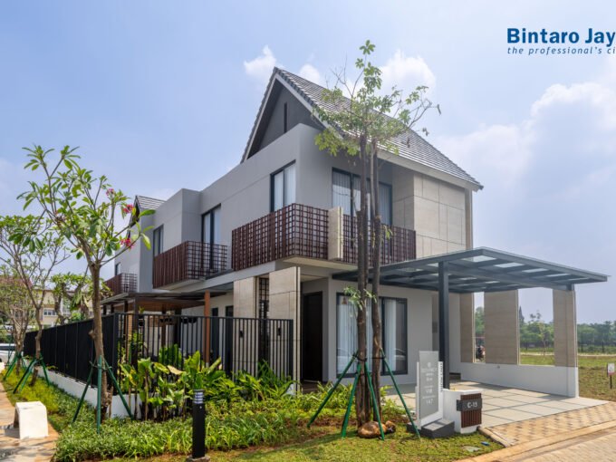 BOTANICA ARALIA BINTARO